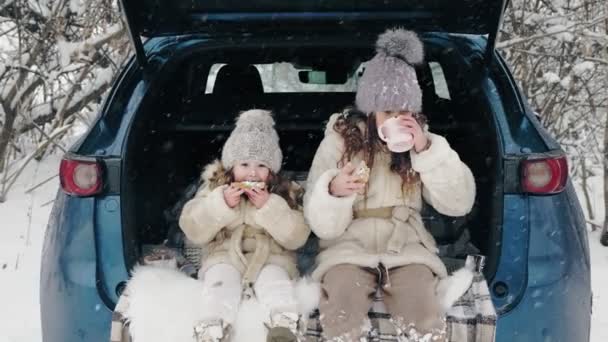 Picnic del tè invernale. Buon cutie, bambina, vestita con abiti caldi invernali, stanno avendo gustoso spuntino, tea party all'aperto. Sono seduti sul bagagliaio dell'auto, nella foresta innevata, durante le nevicate. famiglia invernale — Video Stock