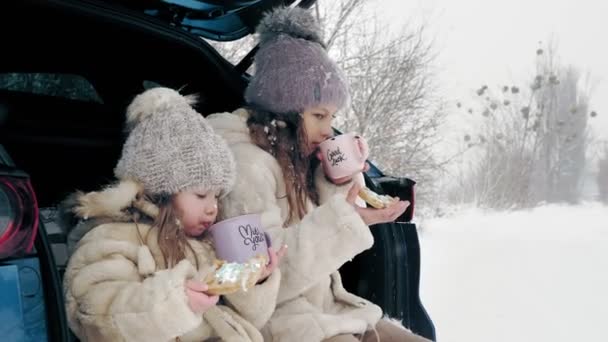 Зимний чайный пикник. Счастливая малышка, одетая в тёплую зимнюю одежду, наслаждается вкусной закуской, чаепитием на свежем воздухе. Они сидят на багажнике машины, в снежном лесу, во время снегопада. зимняя семья — стоковое видео