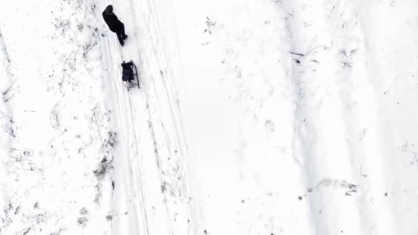 Zimní les. pohled shora. Děti v zimě sáňkaří, procházejí se zimním lesem. Malebná zimní krajina. Letecký dron video. — Stock video