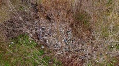 Ormandaki çöplük. Ekolojik bir sorun. Bahar ormanının ortasında yasadışı çöplük. Havadan görünüşlü. Bir yığın plastik torba, yiyecek atıkları, çöpler, açık havaya atılmış. Çevre kirliliği