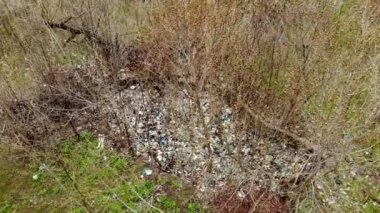 Ormandaki çöplük. Ekolojik bir sorun. Bahar ormanının ortasında yasadışı çöplük. Havadan görünüşlü. Bir yığın plastik torba, yiyecek atıkları, çöpler, açık havaya atılmış. Çevre kirliliği