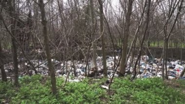 Ormandaki çöplük. Ekolojik bir sorun. Bahar ormanının ortasında yasadışı çöplük. Bir yığın plastik torba, yiyecek atıkları, çöpler, açık havaya atılmış. Çevre kirliliği. Ormanda depolama