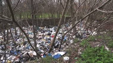 Ormandaki çöplük. Ekolojik bir sorun. Bahar ormanının ortasında yasadışı çöplük. Bir yığın plastik torba, yiyecek atıkları, çöpler, açık havaya atılmış. Çevre kirliliği. Ormanda depolama