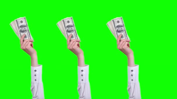 Dinero, efectivo. Animación Gif. Primer plano. las manos femeninas, en blusas blancas, sostienen paquetes de billetes de cien dólares, los saludan. aislado sobre fondo verde. patrón de bucle sin costura. animación — Vídeo de stock