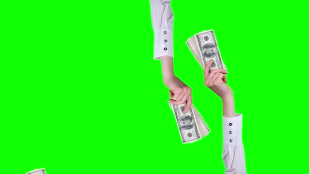 Dinero, efectivo. Animación Gif. Primer plano. las manos femeninas, en blusas blancas, sostienen paquetes de billetes de cien dólares, los saludan. aislado sobre fondo verde. patrón de bucle sin costura. animación — Vídeos de Stock