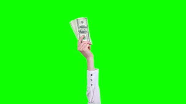 Деньги, наличные. Гиф-анимация. крупным планом. Женская рука, в белой блузке, держит стодолларовые банкноты, машет ими. изолированный на зеленом фоне. петля бесшовный шаблон. анимация — стоковое видео