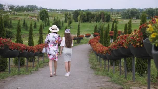 Landschaftsgestaltung, florales Design. blühende Petunien. Botanischer Garten. arboretum. zwei Mädchen, Touristinnen, spazieren entlang der romantischen blühenden Gasse im Park — Stockvideo