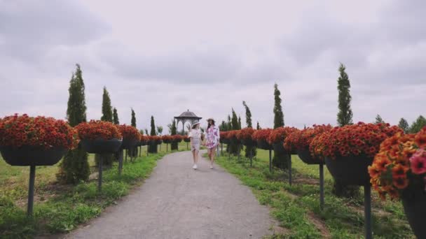 Paisajismo, diseño floral. petunias florecientes. Jardín Botánico. arboreto. dos chicas, turista, están caminando por el romántico callejón en flor en el parque — Vídeo de stock