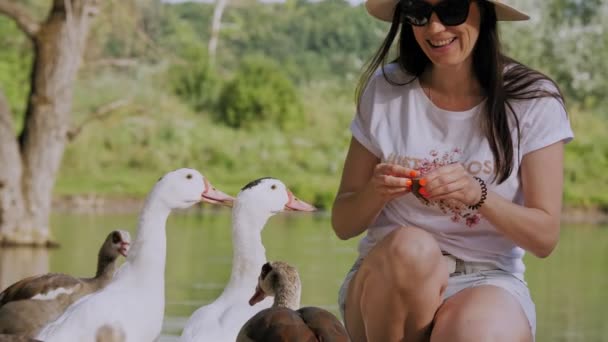 Karmienie kaczek. kobieta, w kapeluszu i okularach, siedzi nad jeziorem lub stawem i karmi kaczki chlebem, w parku miejskim. — Wideo stockowe