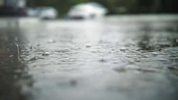 Chuva, poças. A chover. Gotas de água. Chuva no solo. grandes gotas de chuva caem, pingam em poças com salpicos e bolhas durante uma tempestade. close-up. Está a chover muito. — Vídeo de Stock