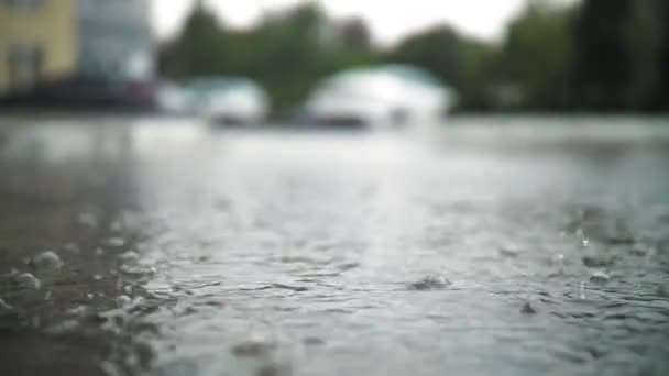 雨だ、水たまり。雨だ。水が落ちる。暴風雨だ。大規模な雨滴が落ちる、暴風雨の間にスプラッシュや泡と水たまりに滴下します。接近中だ。雨が激しく降っています. — ストック動画