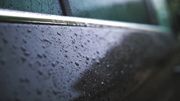 Gotas de lluvia en el coche. Lluvia. Llueve. gotas de lluvia gotean y gotean lentamente, fluyendo por la superficie del coche negro moderno, durante la lluvia. primer plano — Vídeo de stock