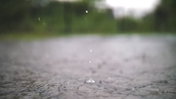 Regn, pölar. Det regnar. Vattendroppar. Regnstorm. stora regndroppar faller, droppar i pölar med stänk och bubblor under en regnstorm. närbild. det regnar kraftigt. — Stockvideo