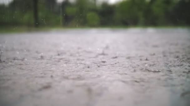 Deszcz, kałuże. Pada deszcz. Krople wody. Burza deszczowa. duże krople deszczu spadają, kapią w kałuże z rozpryskami i bąbelkami podczas burzy. zbliżenie. mocno pada.. — Wideo stockowe