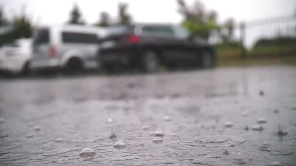 Pluie, flaques d'eau. Il pleut sur le parking. Gros plan. les gouttes de pluie tombent dans des flaques d'eau avec des éclaboussures et des bulles lors d'un orage. douches d'été. — Video
