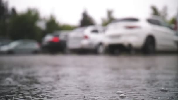 雨だ、水たまり。駐車場で雨が降ってる。接近中だ。雨滴は、暴風雨の間に水溜りに落ちます。夏のシャワー. — ストック動画