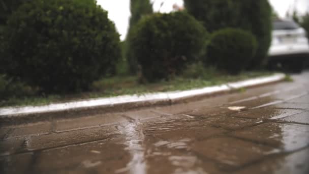 Deszcz, kałuże. Pada deszcz. Krople wody. Burza deszczowa. zbliżenie. duże krople deszczu spadają, kapią w kałuże z rozpryskami i bąbelkami podczas ulewnego deszczu. letnie prysznice — Wideo stockowe