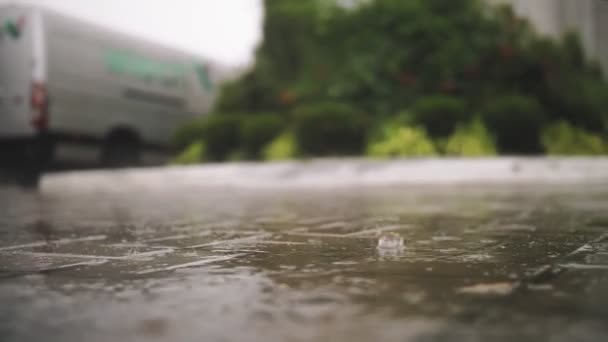 Regn, pölar. Det regnar. Vattendroppar. Regnstorm. närbild. stora regndroppar faller, droppar i pölar med stänk och bubblor under kraftigt regn. sommarduschar — Stockvideo