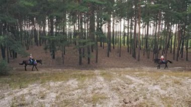 İgbt. Gökkuşağı. Aynı cinsiyette aşk. Lezbiyen kadınların genç çifti ortak bir hobiyle meşgul, ata biniyorlar. Kız arkadaşlar ormanda at biniyor, eğleniyorlar.