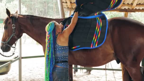 A közösségben. szivárvány. Lógondozás. Egy szivárványhajú lovaslány biztosítja a nyerget a lóhoz. Biszexuális, transznemű vagy leszbikus nő. lovas sport hobbi. — Stock videók