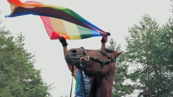 Szivárvány zászló. Lovas lovaglás. gyönyörű lovas lány, szivárvány haj raszta és csapkodó szél lgbt szivárvány zászló, pózol, miközben lovaglás, az erdőben — Stock videók