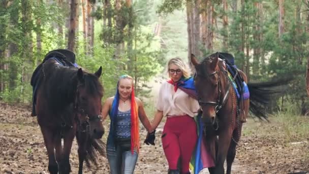 Lgbt. bandera del arco iris. joven pareja lesbiana del mismo sexo se dedica a afición conjunta, equitación. las mujeres caminan, cogidas de la mano, a través del bosque, junto a sus caballos. amor del mismo sexo. — Vídeos de Stock