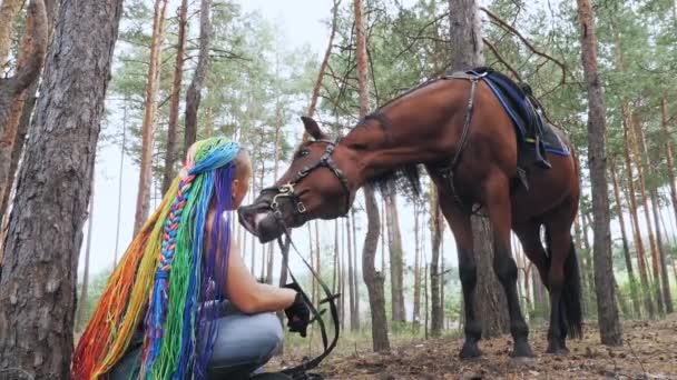 Ιγκμπτ. ουράνιο τόξο. Ιππασία ιππασίας. καβαλάρης κορίτσι, ιππέας, με ουράνια μαλλιά dreadlocks, αντιμετωπίζει το άλογό της με καλούδια, ενώ το περπάτημα μέσα από το δάσος — Αρχείο Βίντεο