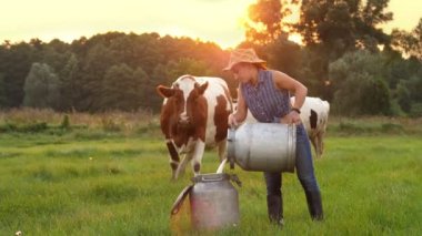 İnek sütü. Dişi çiftçi, gün batımında yeşil çayırlara taze süt dökerken arka planda inekler var. Süt sağmak. Süt çiftliği. Süt ürünleri. Çiftçilik