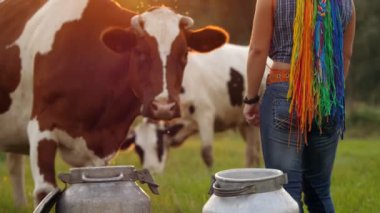 inek sütü. Gökkuşağı saçlı kadın çiftçi, sırtını taze süt için konservelerin yanına, yeşil çayır üzerinde, gün batımında, arka planda ineklerle duruyor. Süt sağmak. Süt çiftliği. Süt ürünleri. Çiftçilik