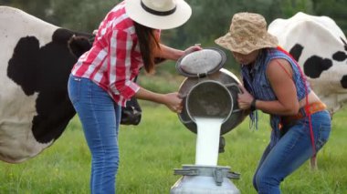 İnek sütü. İki dişi çiftçi yeşil çayırlara taze süt döküyor ve arka planda inekler var. Süt sağmak. Süt çiftliği. Süt ürünleri. Çiftçilik