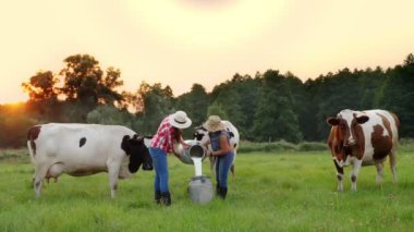 İnek sütü. İki dişi çiftçi yeşil çayırlara taze süt döküyor ve arka planda inekler var. Süt sağmak. Süt çiftliği. Süt ürünleri. Çiftçilik