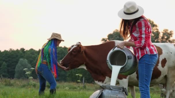 Koemelk vers. Het spijt me. Vrouwelijke boer giet verse melk in blik, op groene weide. haar vriendin, met regenbooghaar, voert appels aan koe op de achtergrond. melken. zuivel. Landbouw — Stockvideo