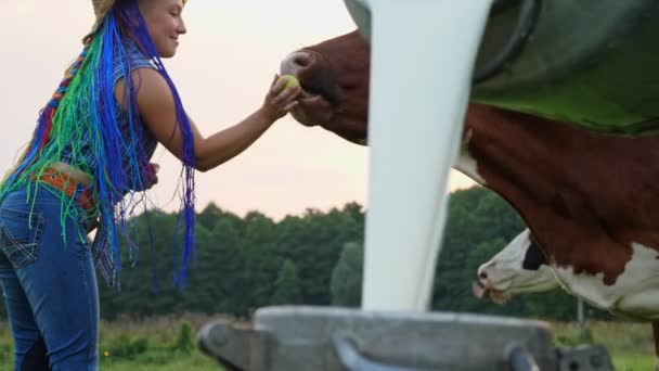 Komjölk färsk. närbild. färsk mjölk hälls i en burk, på grön äng. Kvinnlig bonde, med regnbåge hår, matar äpplen till ko i bakgrunden. mjölkar. mejeriprodukter. Jordbruk — Stockvideo