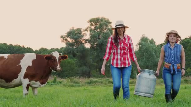 İnek sütü. İki çiftçi kadın, gün batımında otlayan inek arka planına karşı yeşil çayır boyunca taze sütle dolu büyük bir konserve kutusu taşıyor. Süt sağmak. Süt çiftliği. Süt ürünleri. Çiftçilik. — Stok video