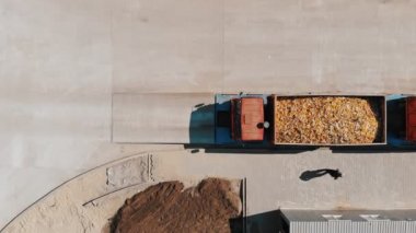 Mısır. Mısır işleme fabrikası. Üst Manzara. Havacılık. Taze hasat edilmiş mısır koçanları ile dolu karavanı olan bir kamyon, fabrikaya girmeden önce tartılmak üzere ağırlıklara biniyor..