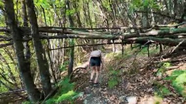 Yürüyüşçü, bambuların arasında orman yolunda tahta merdivenlere tırmanıyor. Yeşil doğa parkında gezinti.