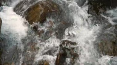 Serin bir bahar gününde kumlu sahil kenarında yürüyen bir kız. Doğada tek başına yürümek..