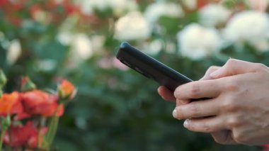 Bahçede çiçek tarlasına ve santrale karşı akıllı telefon kullanarak genç bir kadının el resmi..