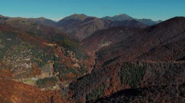 Alplerdeki sonbahar ormanlarının manzarası dağ zirveleriyle zıt kırmızı ve altın yapraklar..