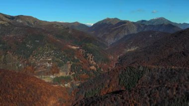 Alplerdeki bir dağ vadisini kaplayan renkli sonbahar ağaçları. Drone fotoğrafçılığı görkemli İtalyan doğasını vurguluyor.