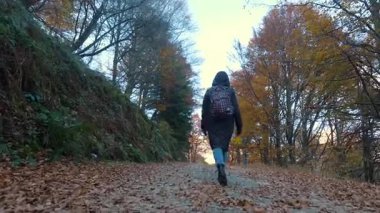 İtalya 'daki parlak sonbahar ağaçlarında yürüyüş yapan kadın gezginin arka görüntüsü. Etkin yaşam tarzı içeren güneşli dağ manzarası.