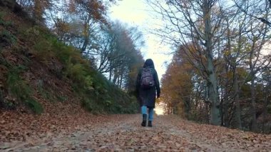 Sonbaharda İtalya Alplerini gezen sırt çantalı bir kız. Renkli mevsimlik yeşilliklerle dolu canlı dağ manzarası.