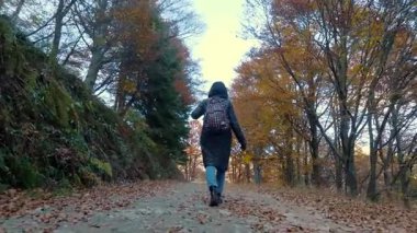 Sonbahar sezonunda Alp Ormanı 'nda yürüyen dişi kaşif. Canlı mevsimsel renkleri ve yoğun yaprakları olan manzaralı dağ manzarası.