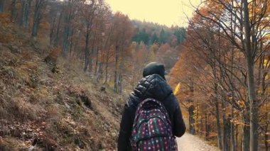 Genç kadın, canlı mevsimsel sonbahar renkleriyle çevrili manzaralı Alp ormanlarında tek başına yürüyüş yapıyor..