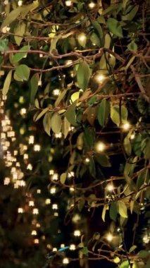 Geceleri sıcak peri ışıklarıyla süslenmiş yeşil yaprakların dikey yakın çekimi. Festival mevsiminin büyülü atmosferi.