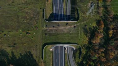 Hava görüntüsü, Almanya 'da çevre korumasını güvence altına alan otobanın üzerinden geçen vahşi yaşamı gösteriyor. Hız rampası hiper hareket zaman aşımı ters uçan İHA 