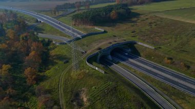 Ecoduct, yoğun bir otoyol üzerinden vahşi yaşama güvenli bir geçiş sağlıyor, yukarıdan görülüyor. İHA alçalıyor 