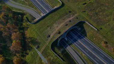Hava görüntüsü, Almanya 'da otobandan geçen vahşi yaşamın çevreyi koruduğunu gösteriyor. dikey kuşların gözünden drone kameralar aşağıya bakıyor. Ters İHA uçuşu 