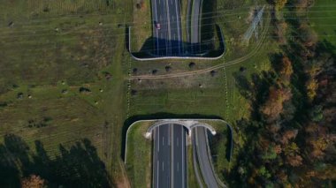 Hava görüntüsü, Almanya 'da otobandan geçen vahşi yaşamın çevreyi koruduğunu gösteriyor. dikey kuşların gözünden drone kameralar aşağıya bakıyor. Ters İHA uçuşu 