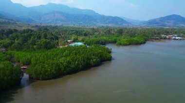 Mangrov ormanlarının yoğun havası ve Koh Chang Tayland 'daki gölette ayaklıklar üzerinde bir bina. rotasyon pan 'dan sağ drona 